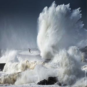 Neue CONSULT Linkedin-Beitragsreihe – Erfahren Sie (fast) alles zum Thema „Newplacement“